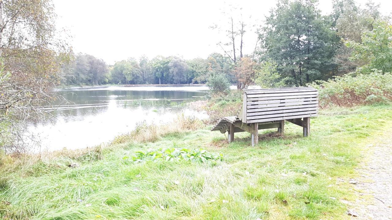 Ferienhaus Am See Lichtenberg Bayern Frankenwaldsee Exteriör bild